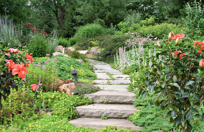 Gloria Dei | Widow's Walk with God